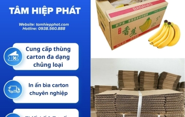 Thùng carton đóng hàng xuất khẩu cần đáp ứng những yêu cầu gì?
