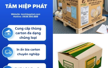 Thùng carton đóng nông sản xuất khẩu chống móp méo hiệu quả