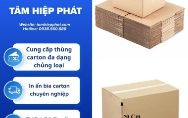 Hộp carton 30x20x20 cm đóng hàng thương mại điện tử