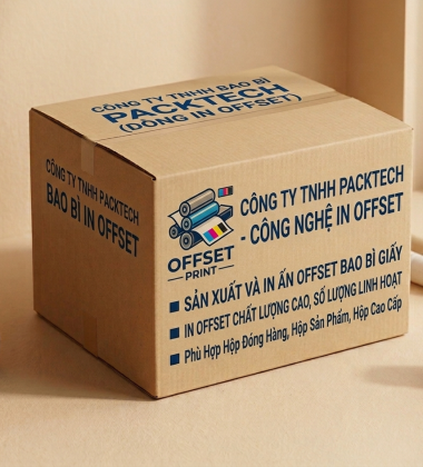 IN OFFSET THÙNG CARTON